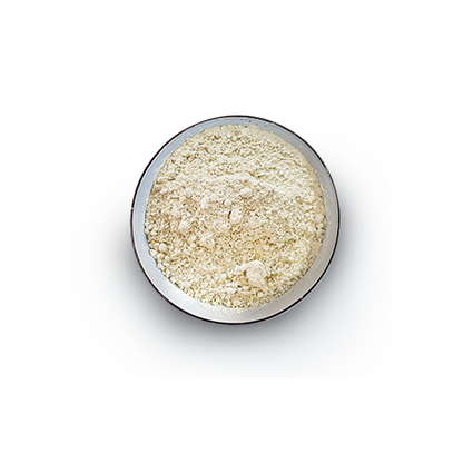 Organic Hemp Gold Protein Powder - 20kg